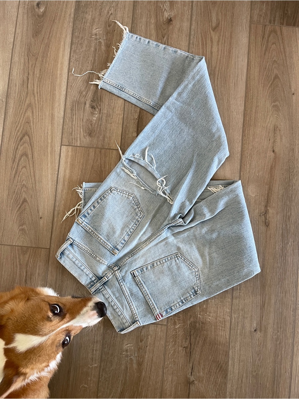BDG Light Blue Distressed Wide Leg Jeans